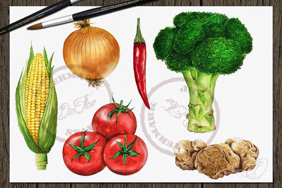 So colorful vegetables illustrations.