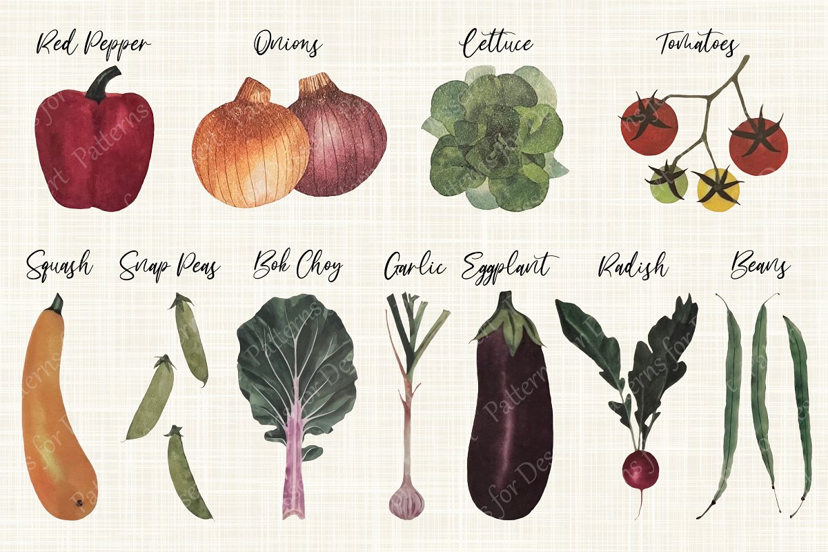 Bright hand drawn collection of watercolor vegetables.