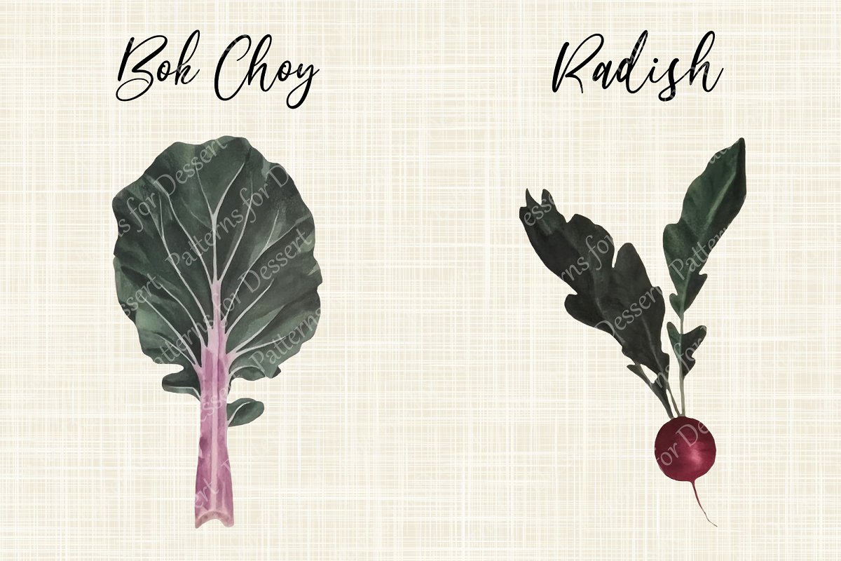 Boh Choy and radish watercolor elements.