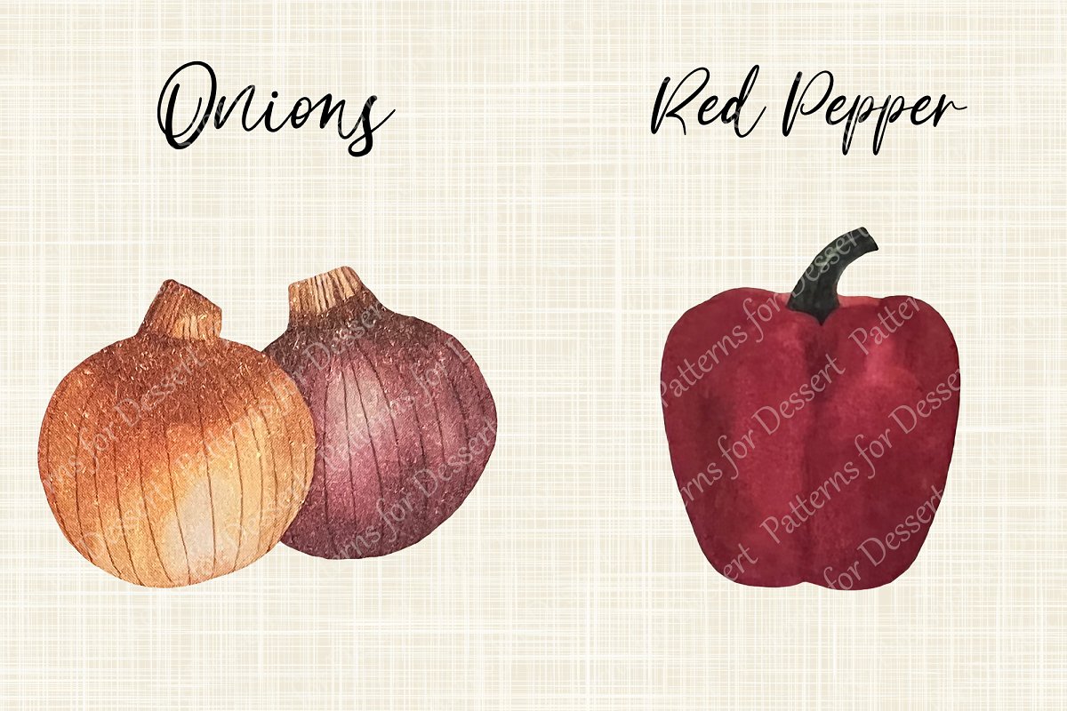 Watercolor onions and red pepper illustrations.