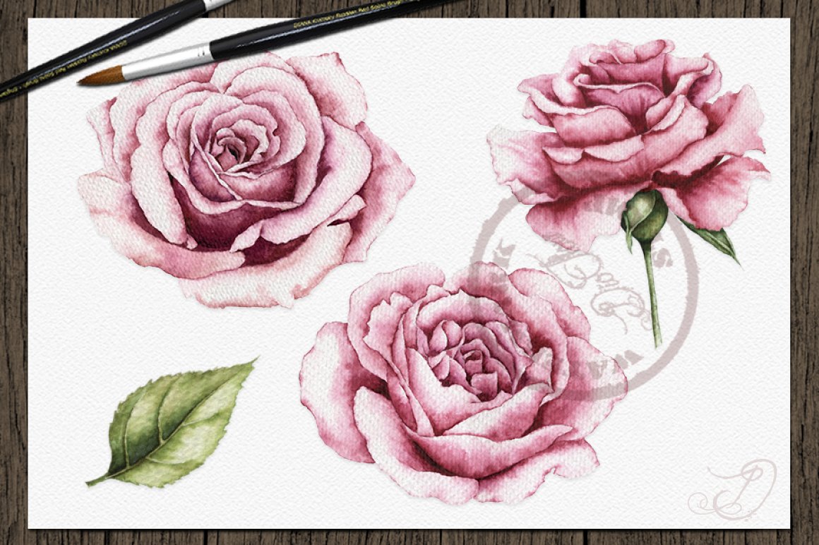 Watercolor vintage roses.