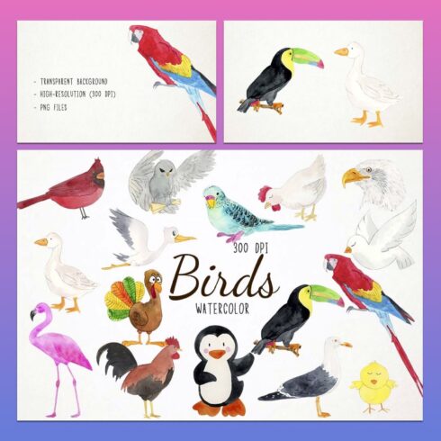 Watercolor Birds Clipart - main image preview.