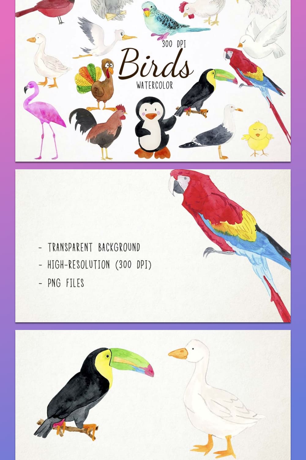 Watercolor Birds Clipart - pinterest image preview.