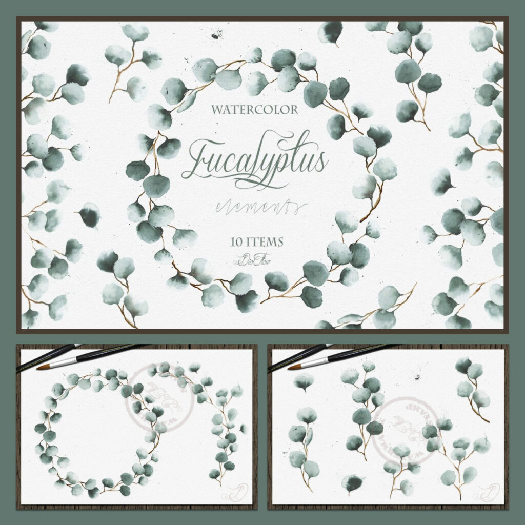 Watercolor Eucalyptus Clip Art – MasterBundles