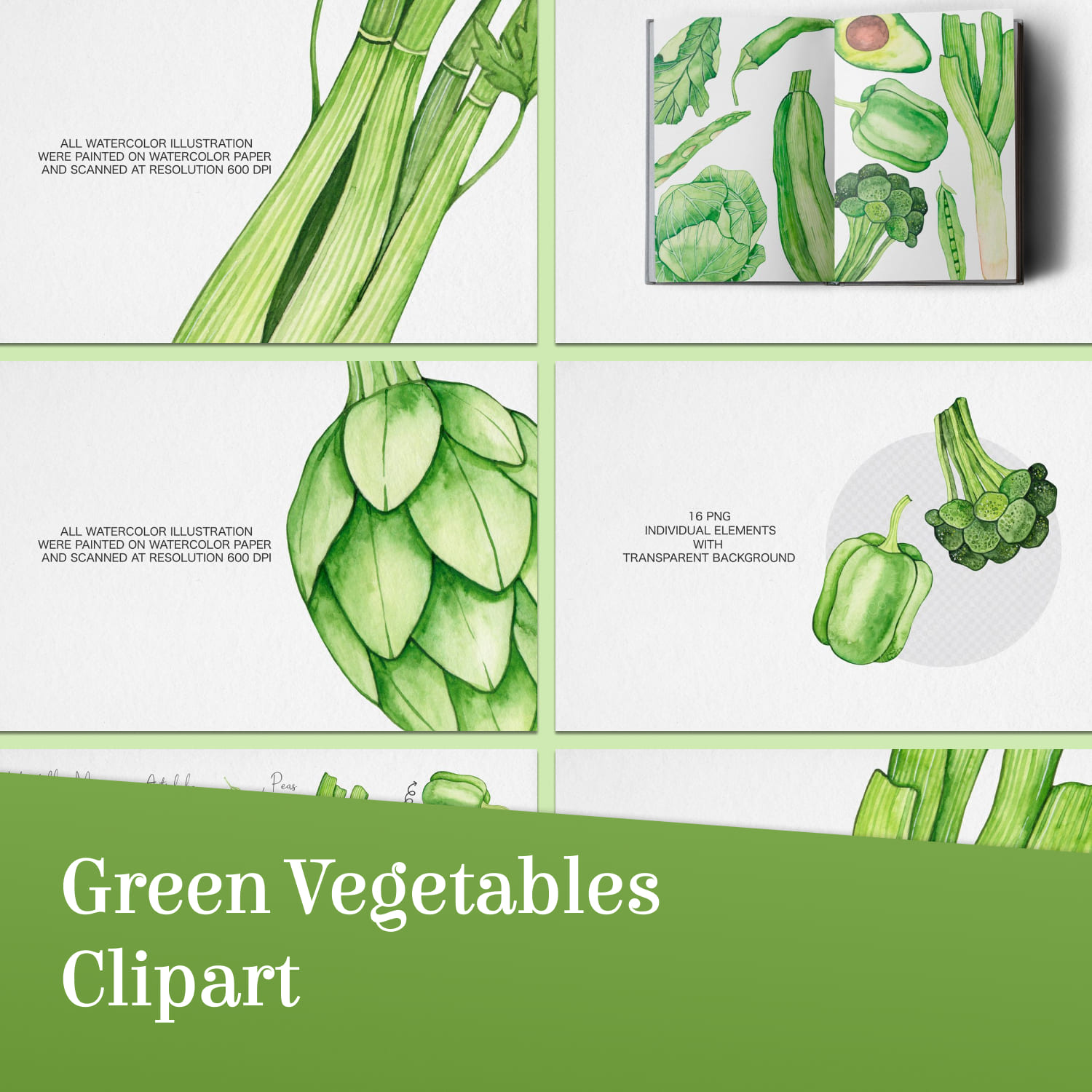 Watercolor green vegetables clipart - main image preview.