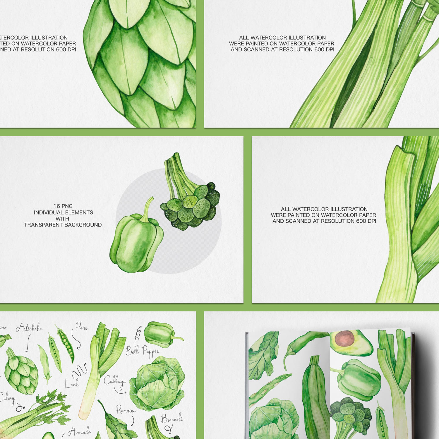 Watercolor Green Vegetables Clipart created by MilanaArtShopCo.
