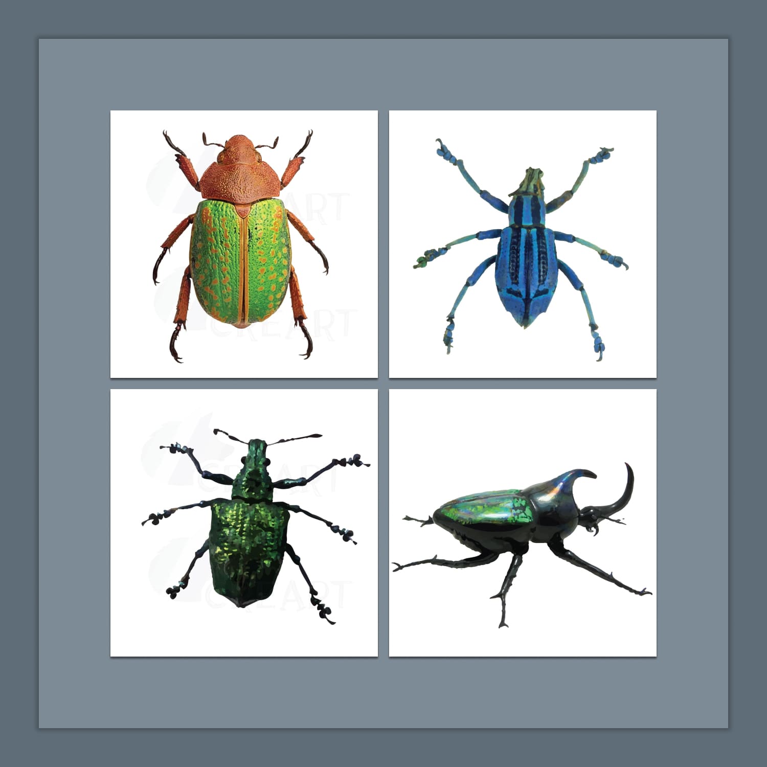 Watercolor insects and bugs clipart pack cover.