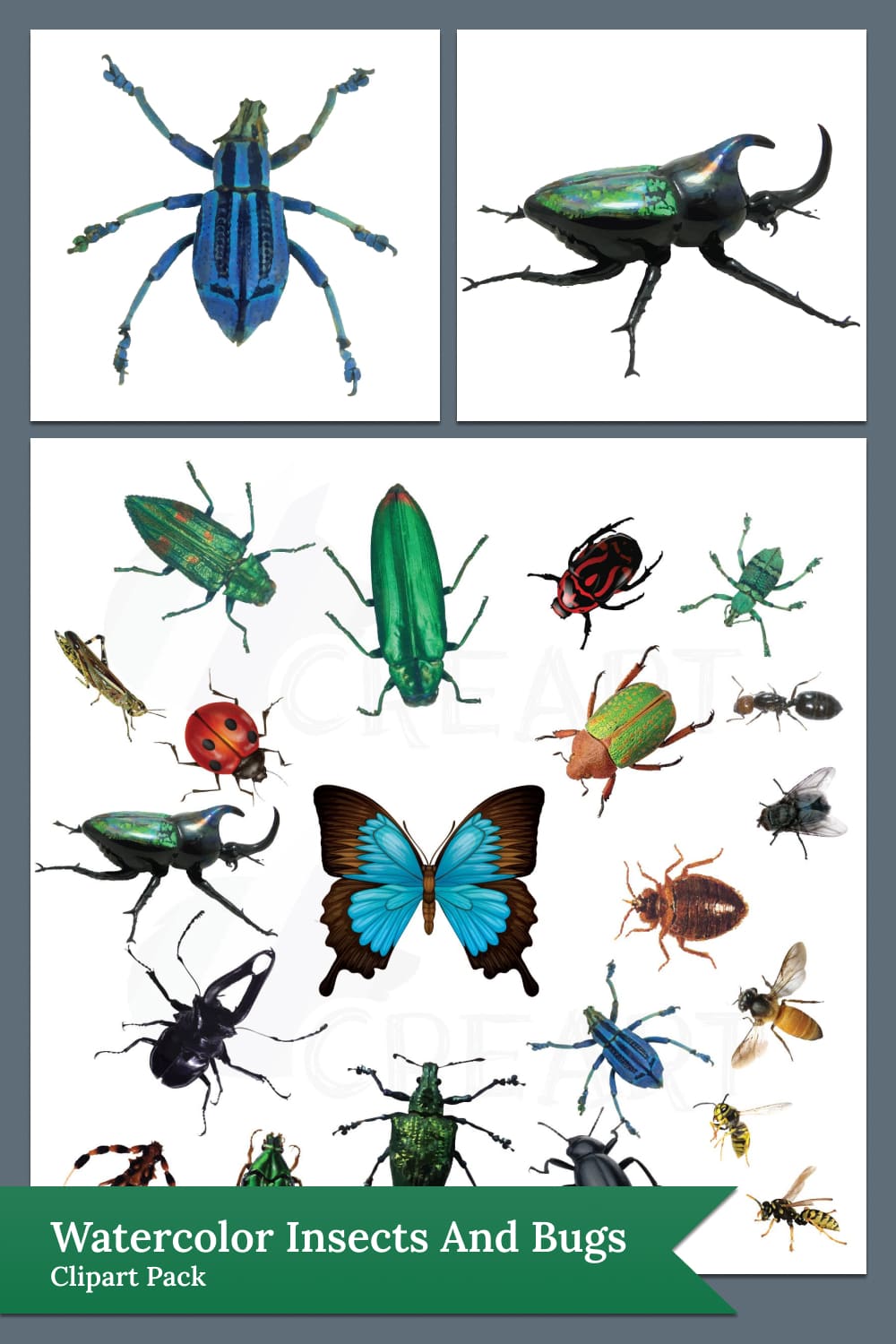 watercolor insects and bugs clipart pack 04