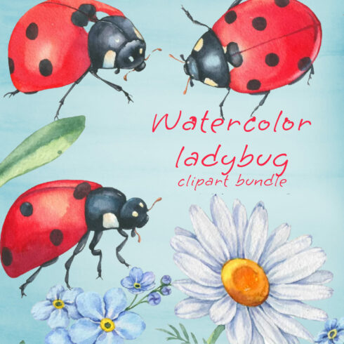 Watercolor ladybug clipart bundle - main image preview.