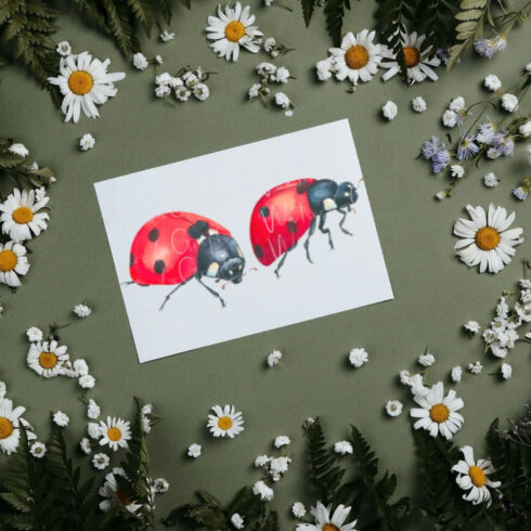 Watercolor Ladybug Clipart Bundle – MasterBundles