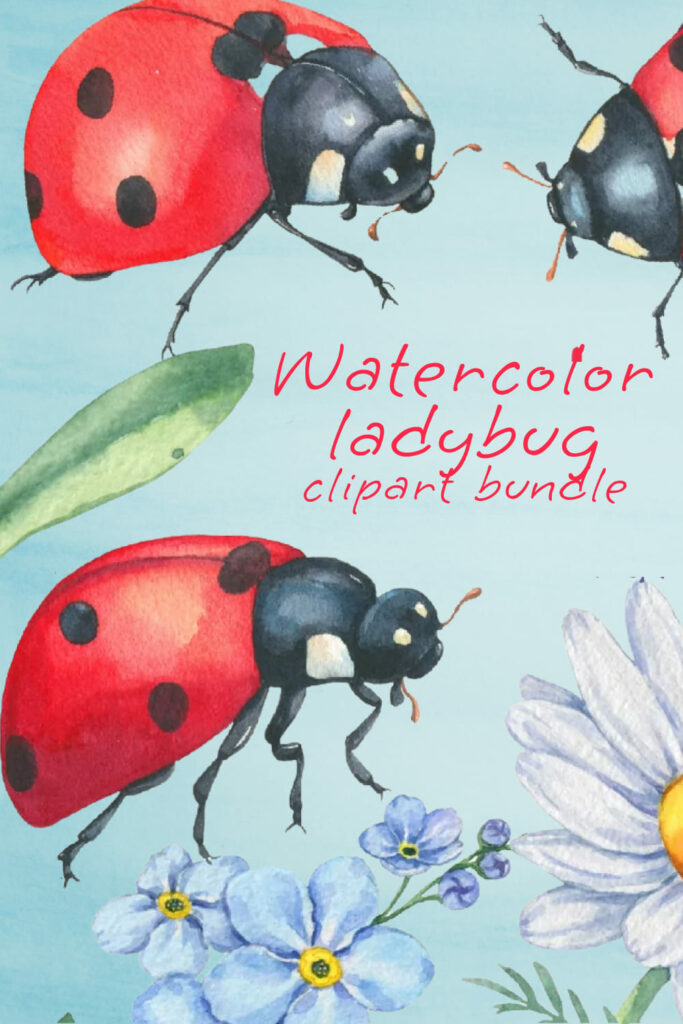 Watercolor Ladybug Clipart Bundle – MasterBundles
