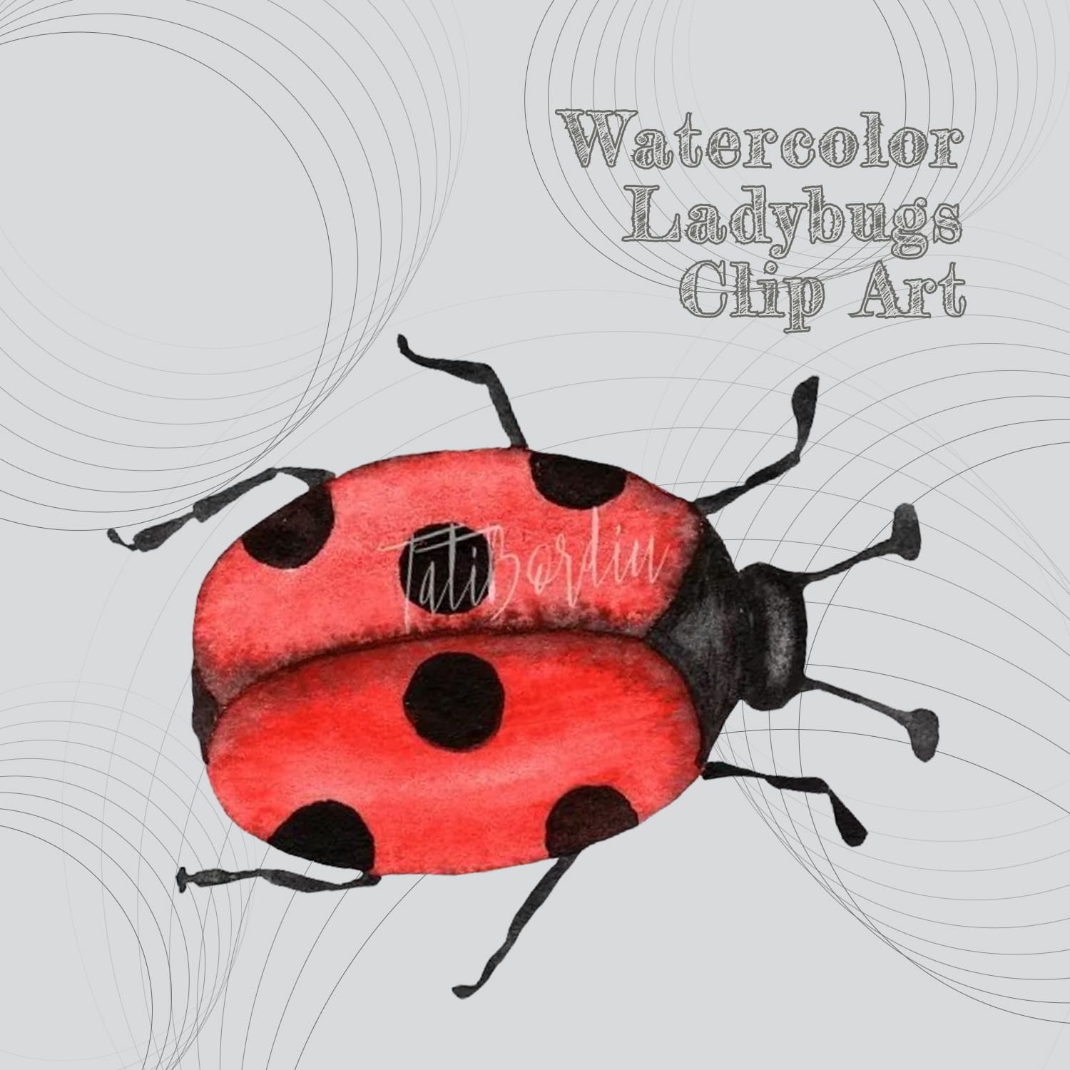 Watercolor ladybugs clip art - main image preview.