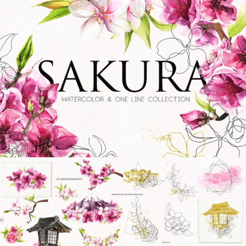 Watercolor line art sakura flowers - main image preview.