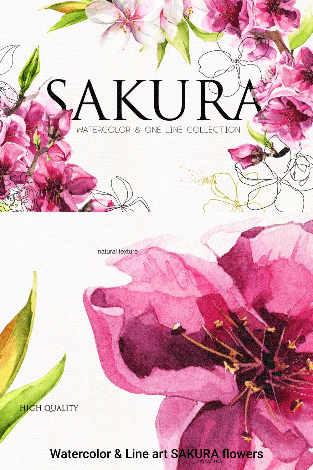 Watercolor line art sakura flowers - pinterest image preview.