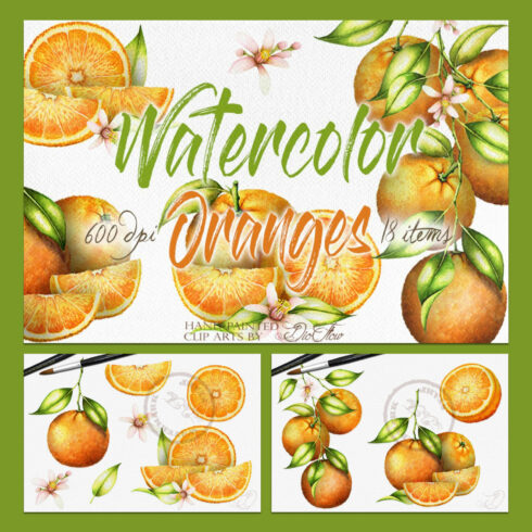 Watercolor Orange Illustration.