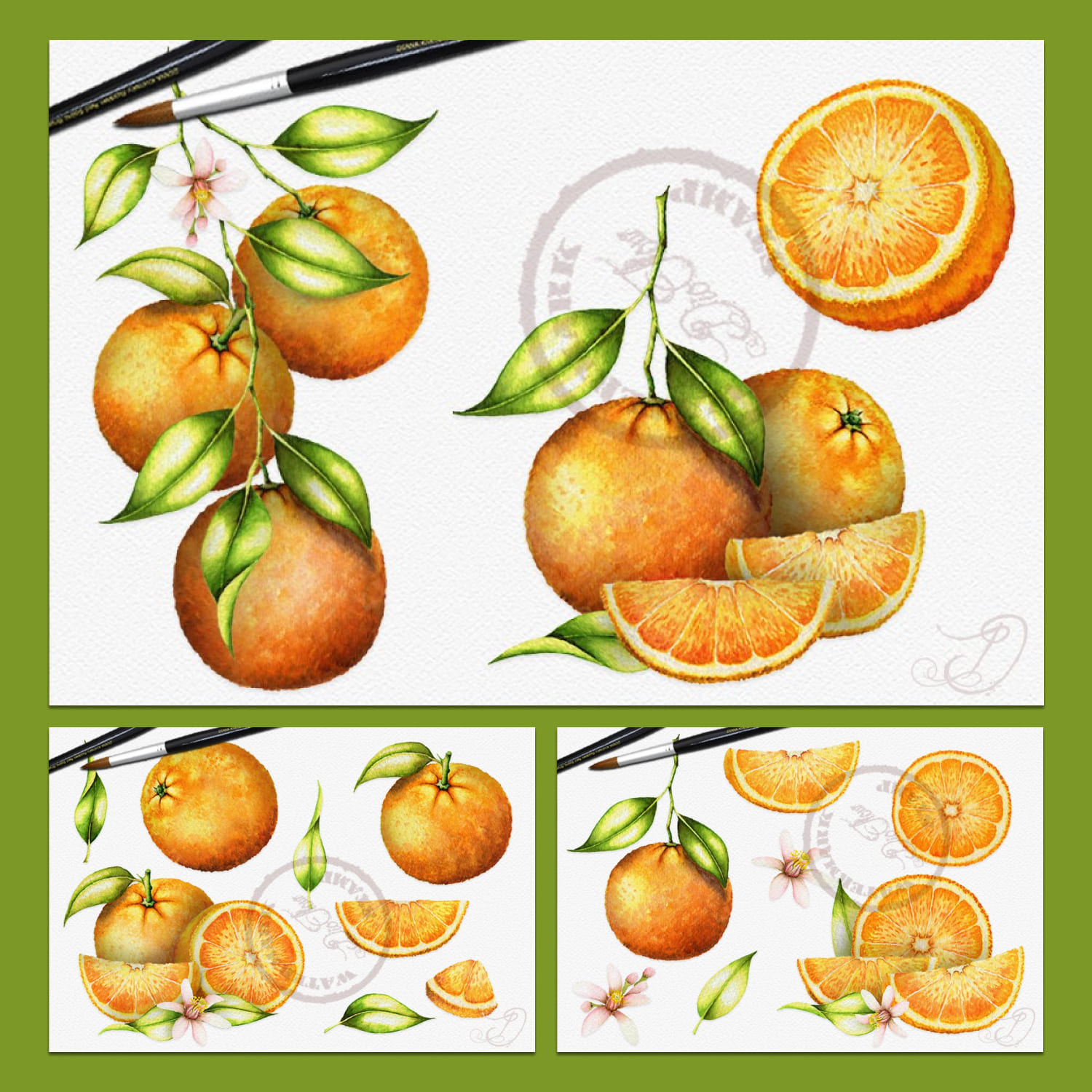 Watercolor Orange Illustration cover.