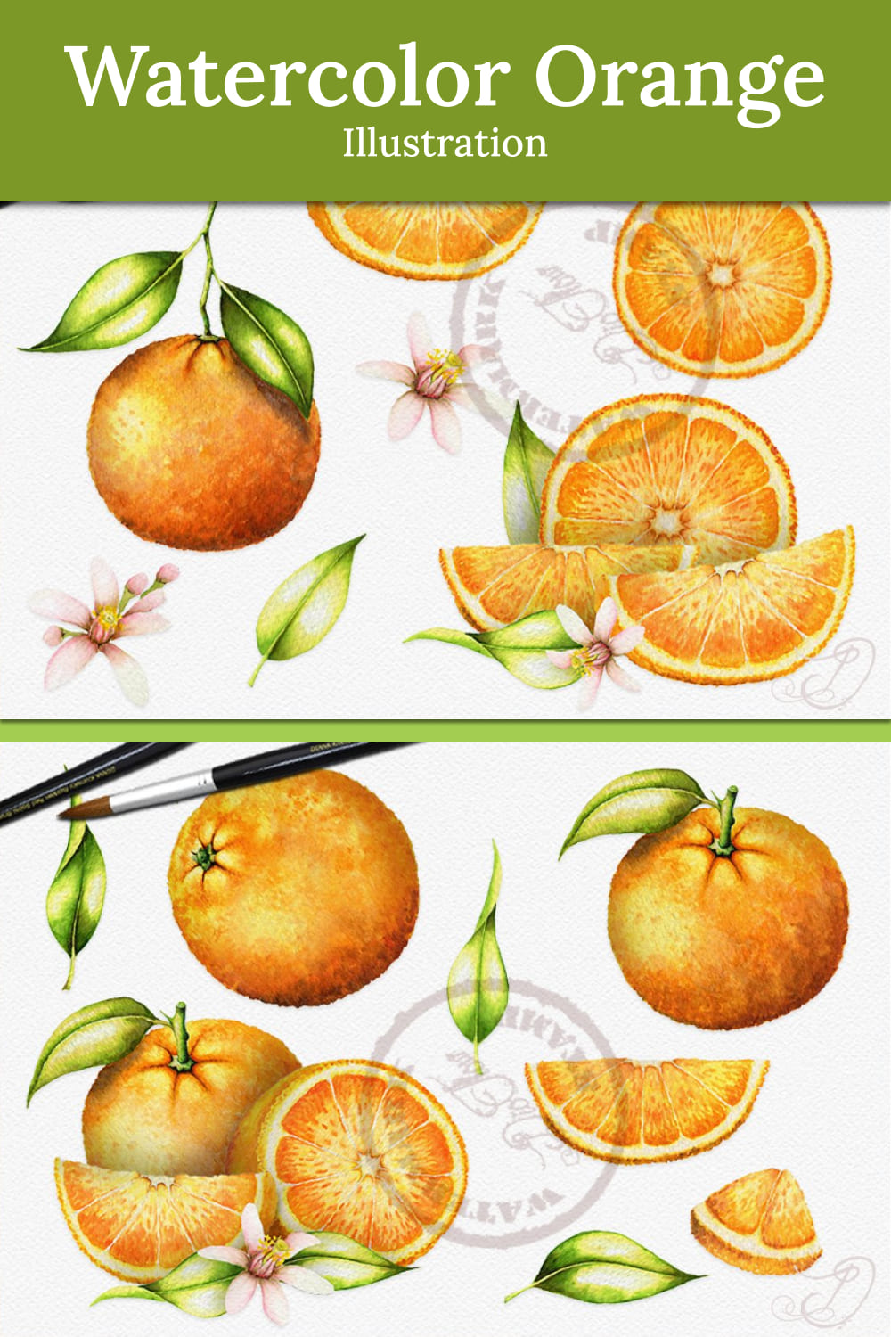 watercolor orange illustration 03