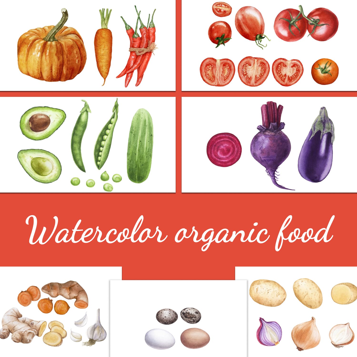 Watercolor organic food - main image preview.