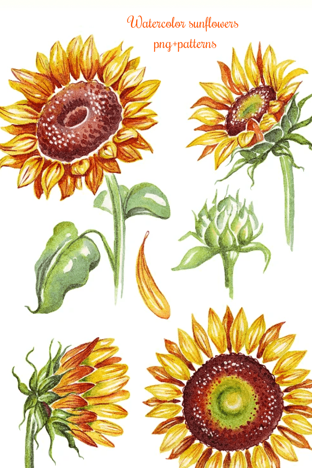 Watercolor sunflowers png+patterns - pinterest image preview.