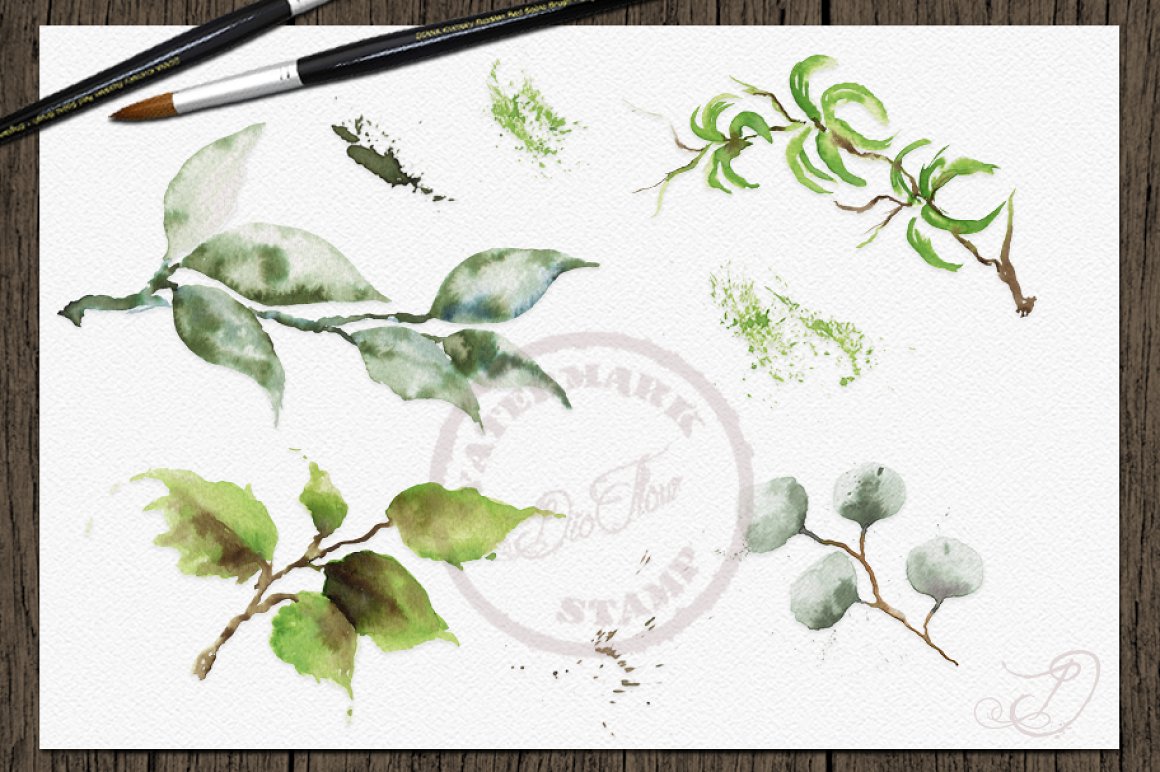 Delicate green elements for botanical composition.