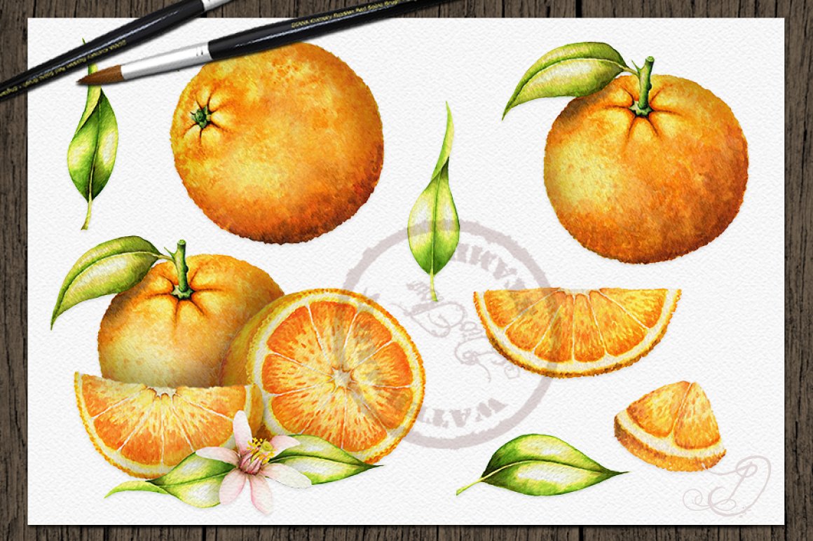 Watercolor oranges with leaves.