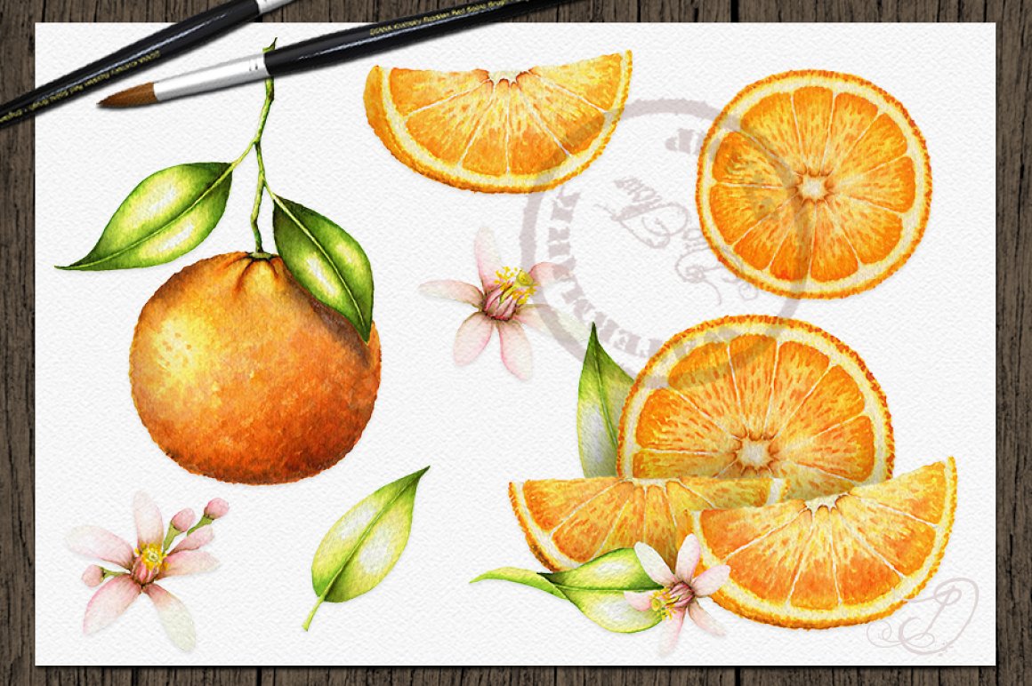 Parts of juicy oranges.