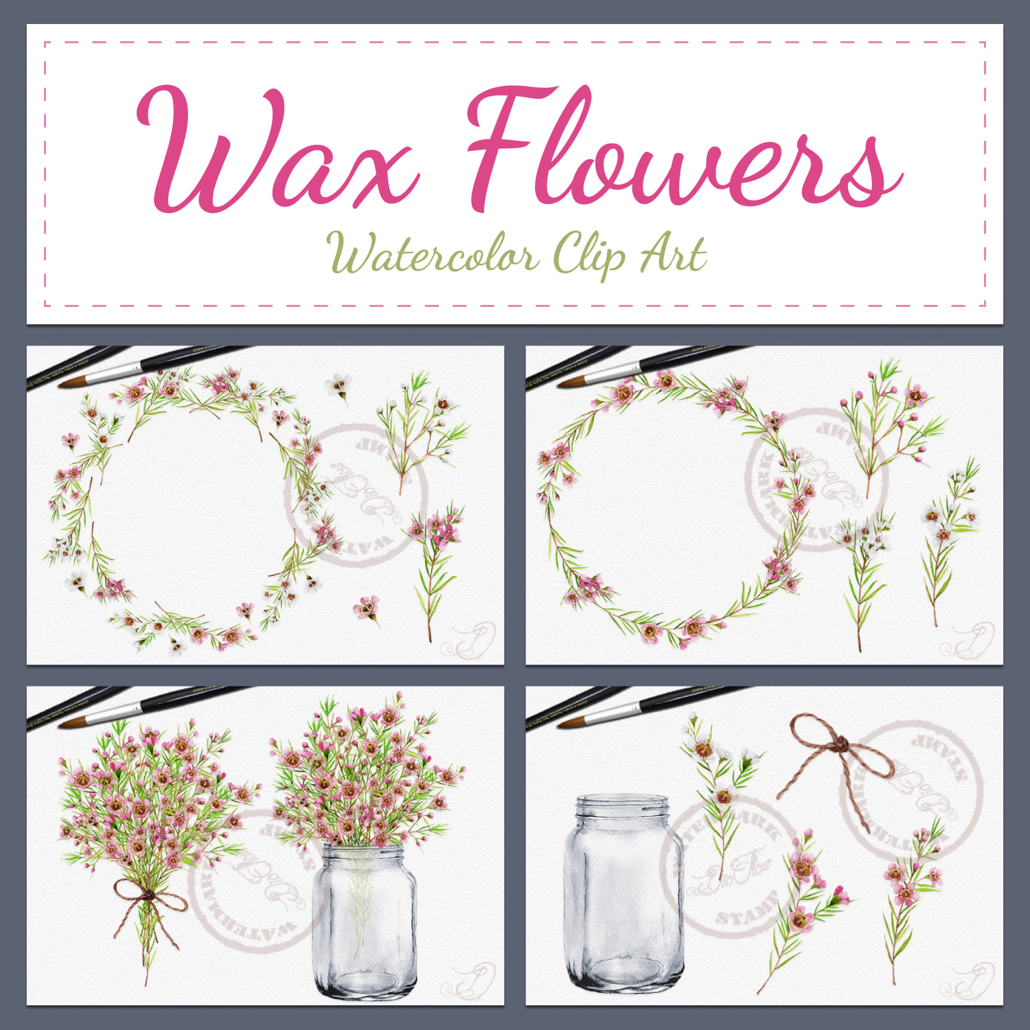 Wax Flowers Watercolor Clip Art.