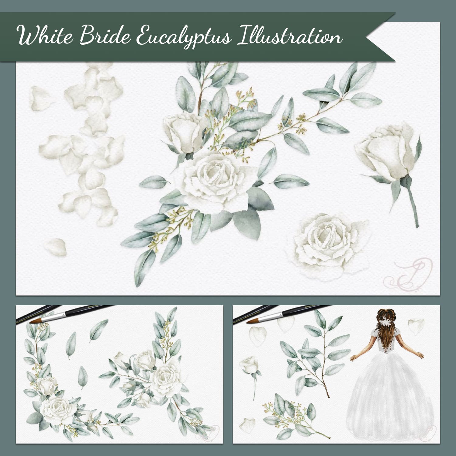 White Bride Eucalyptus Illustration.