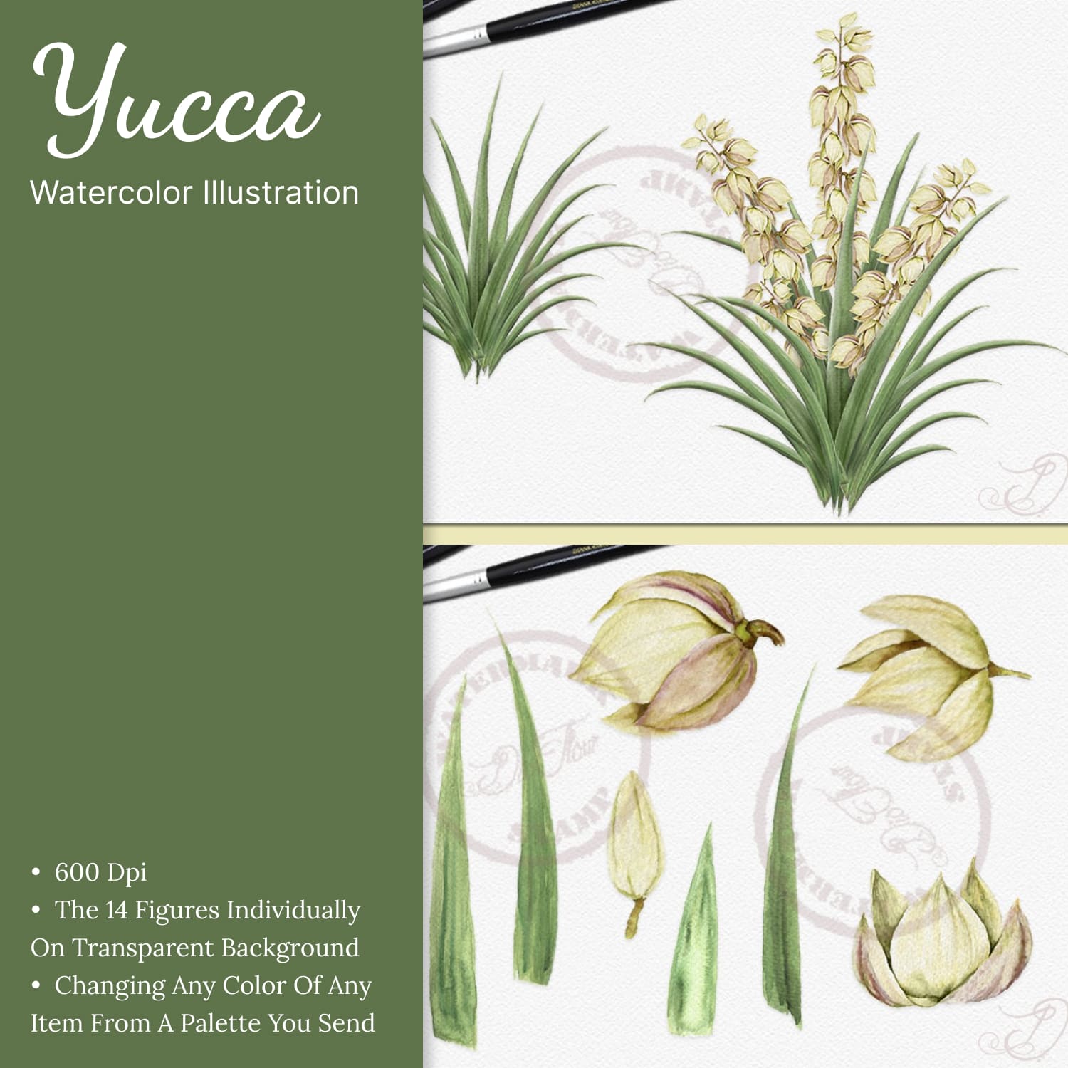 Yucca Flower Stock Illustrations – 1,278 Yucca Flower Stock Illustrations,  Vectors & Clipart - Dreamstime