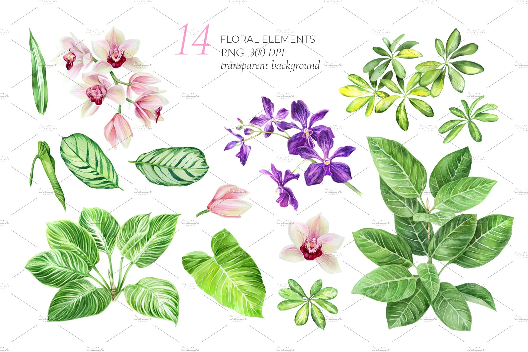 Floral elements for exotic composition.