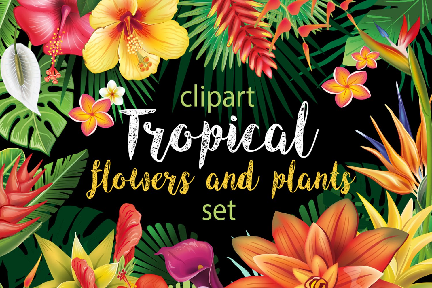 Dark background with colorful tropical flowers.