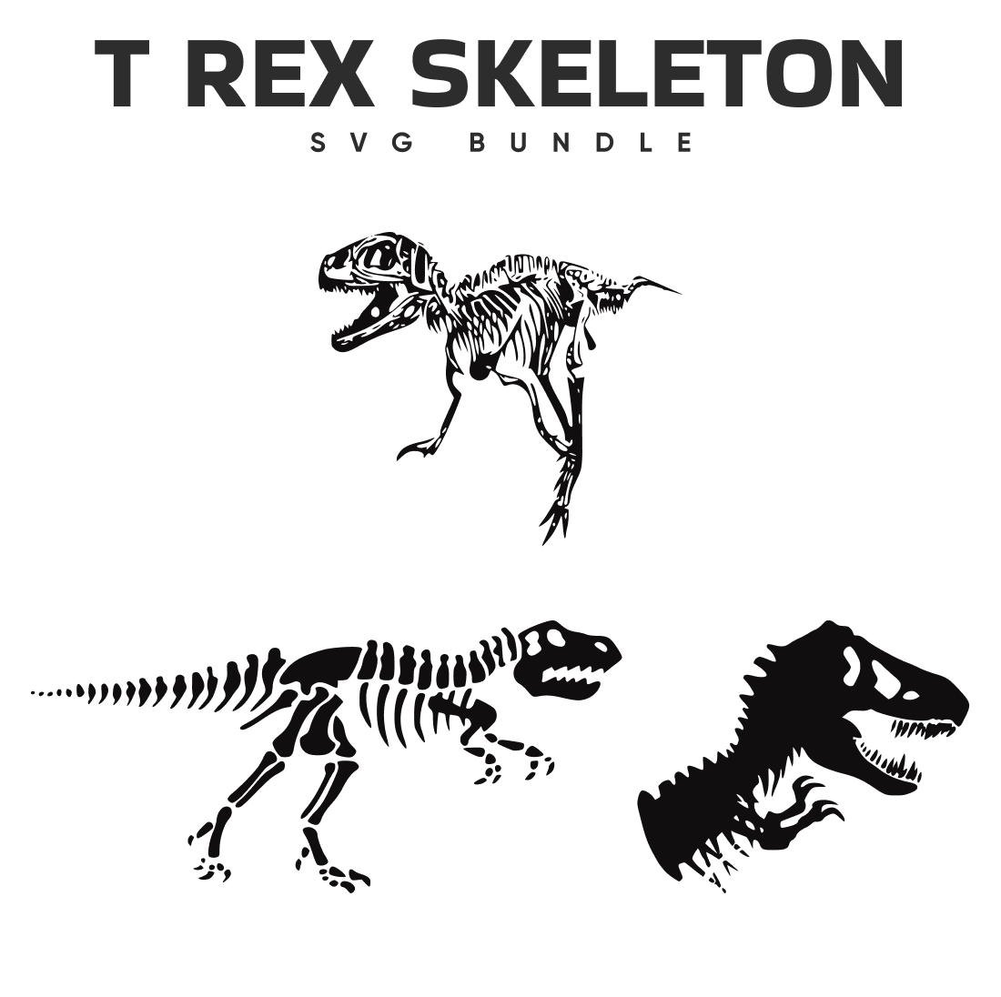 Black and white image of a t - rex skeleton and a t - rex.