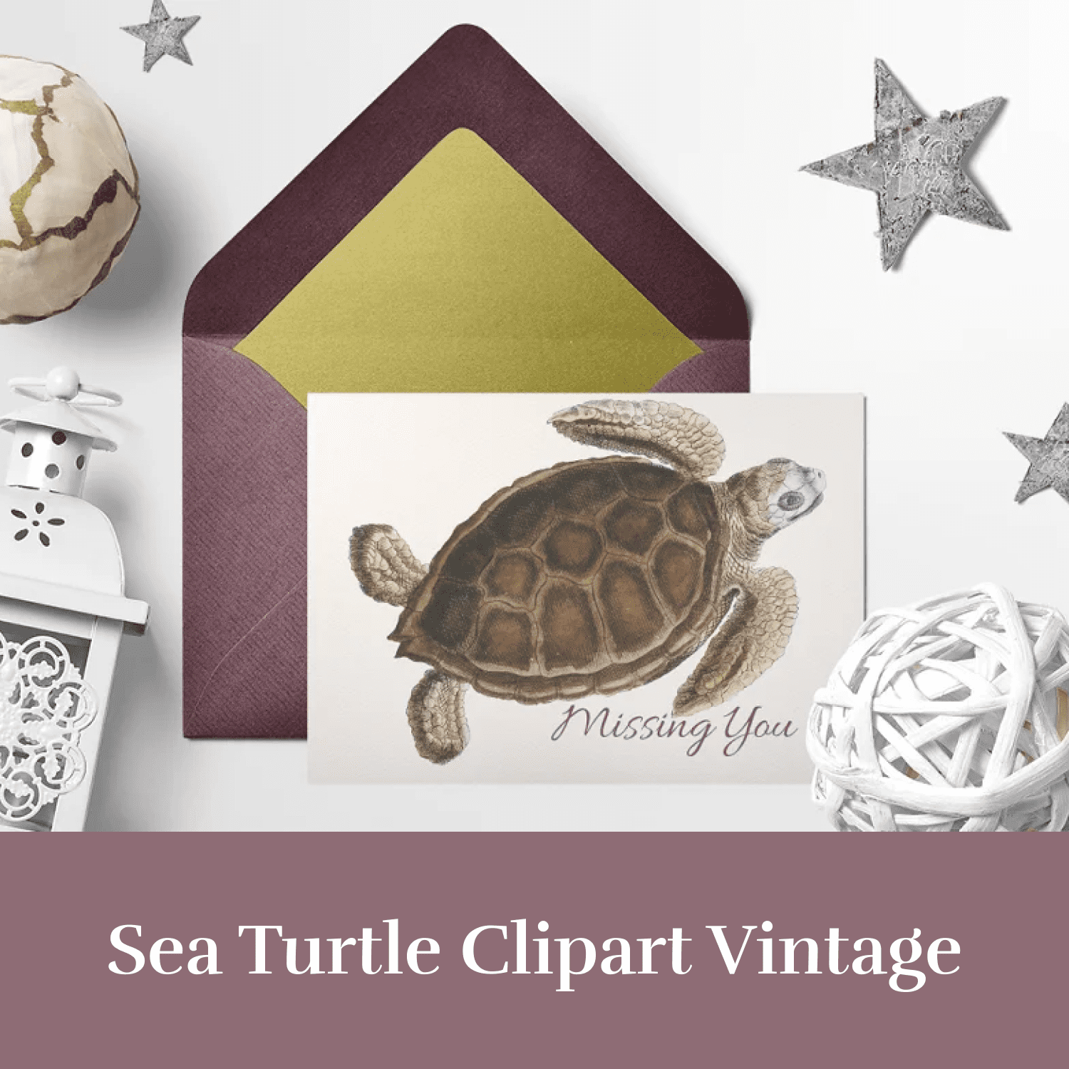 Sea Turtle Clipart Vintage.