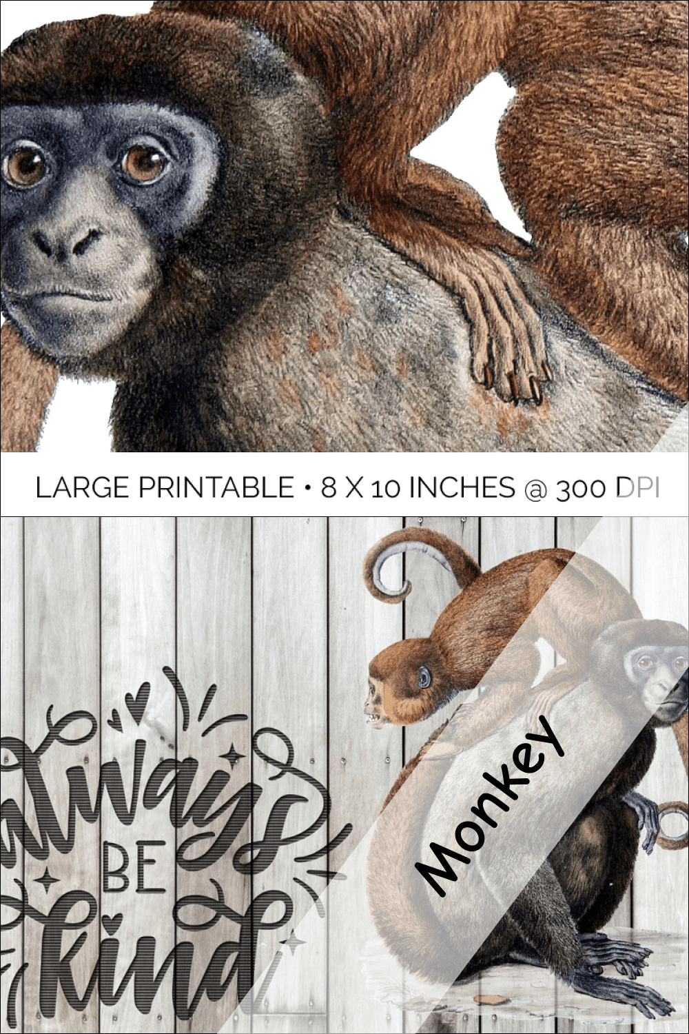 05 monkey 1000x1500 1