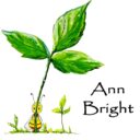 Ann Bright