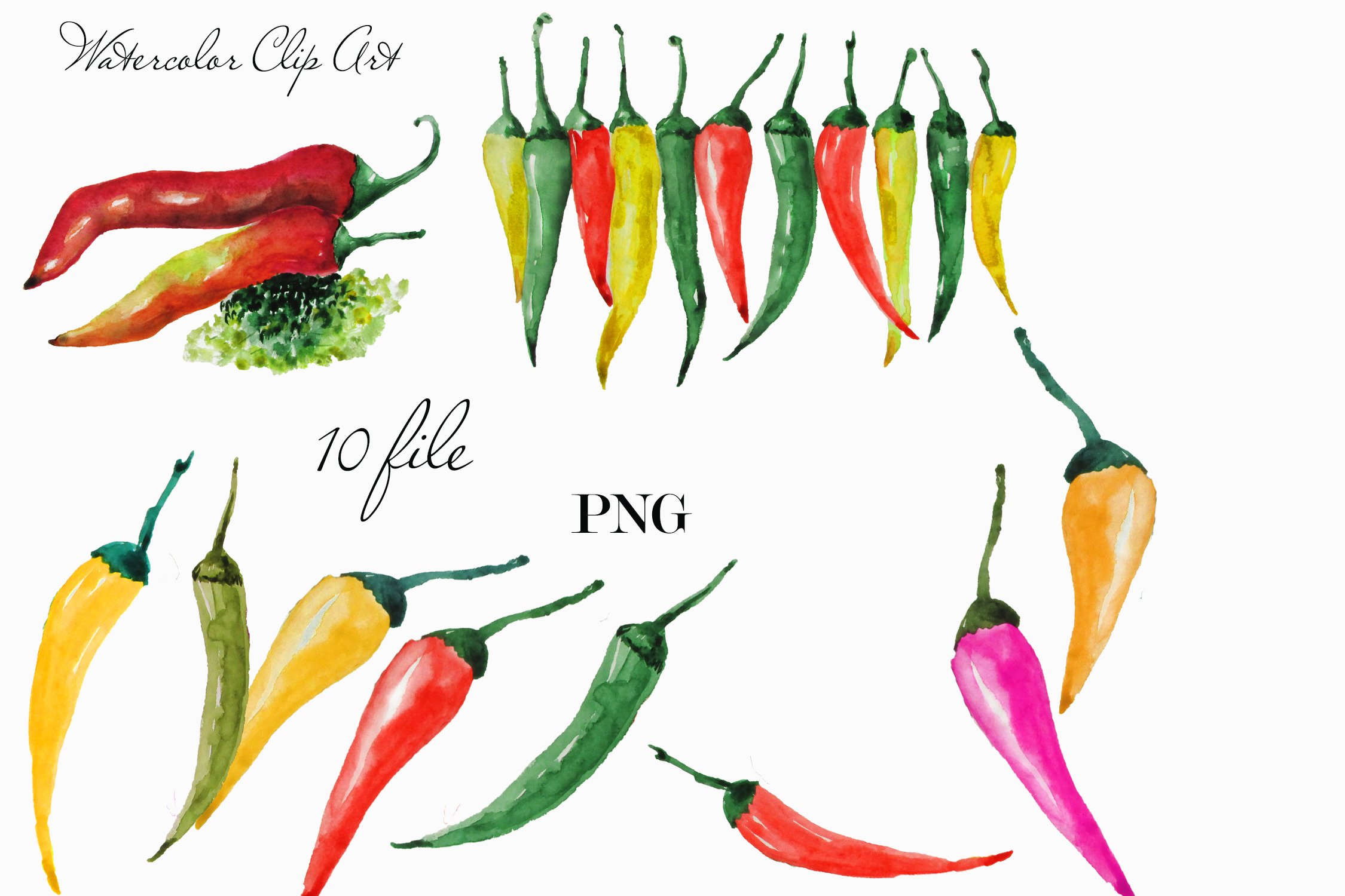 White background with colorful peppers set.