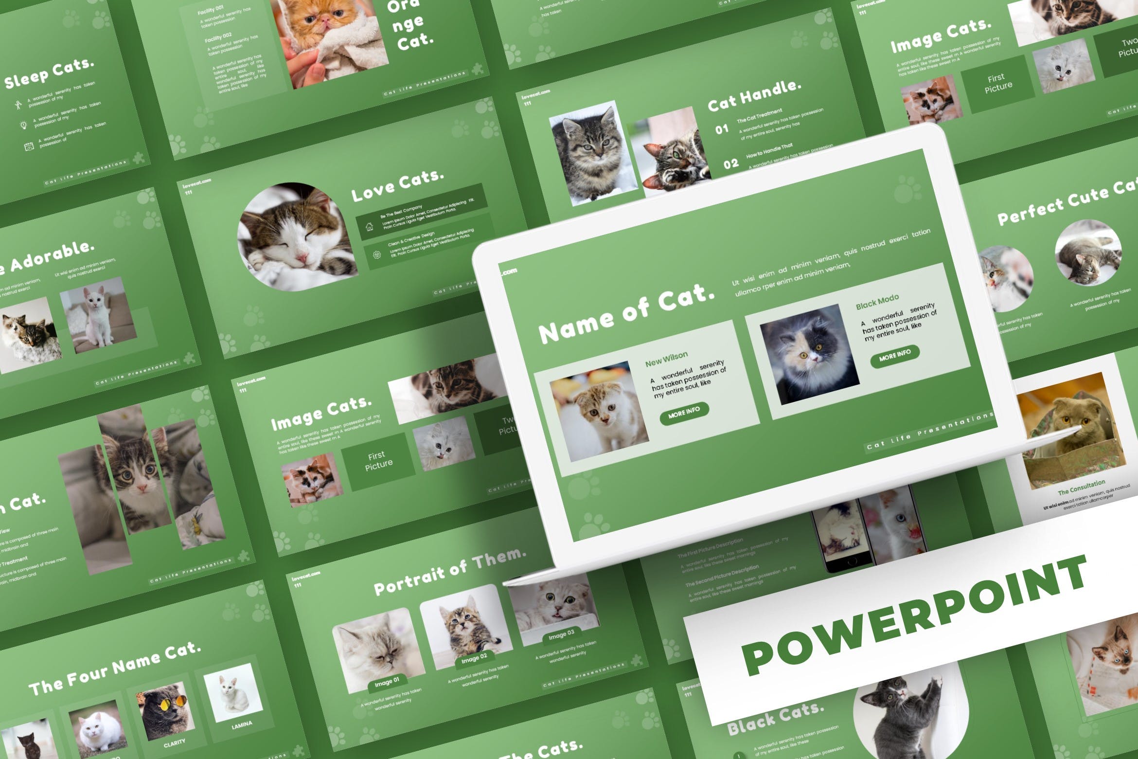Cover image of Our Meow Cat - Powerpoint Template.