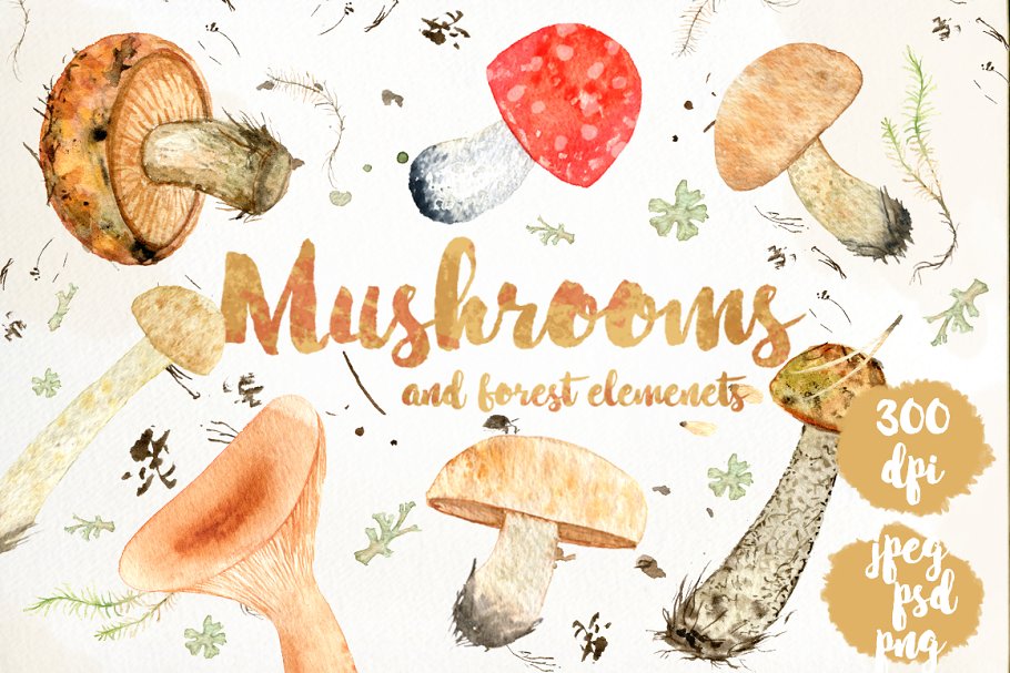 Cover image of Watercolor forest mushrooms.