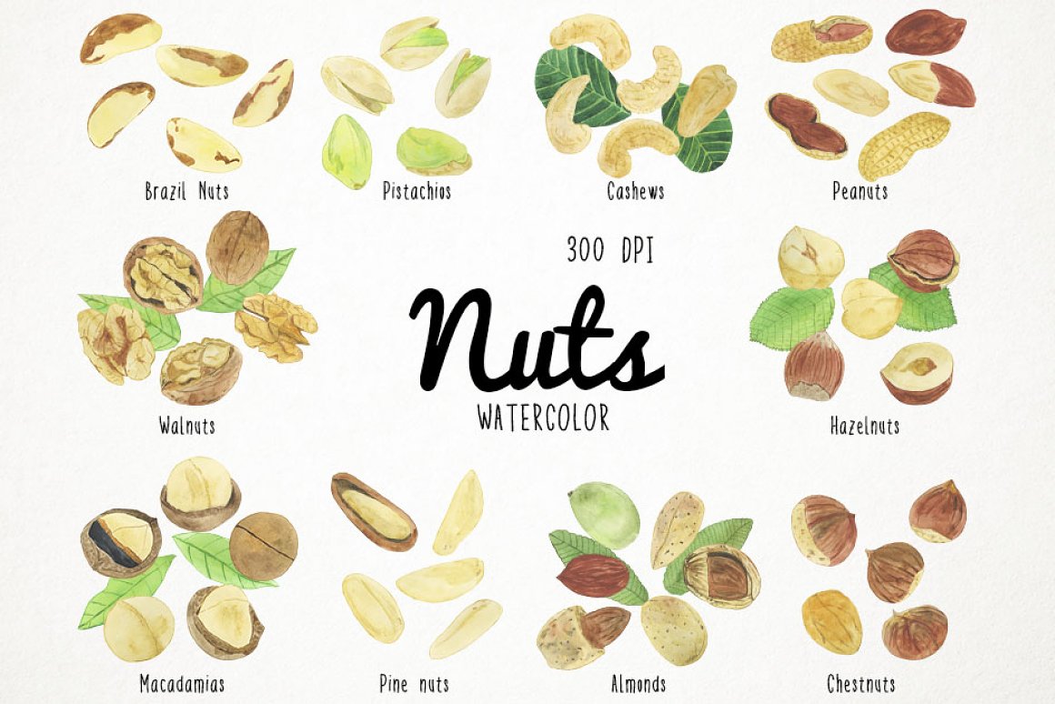 Cool nuts collection in a watercolor style.