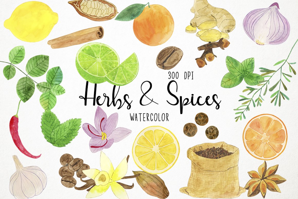 Cool watercolor set of herbs and spices.