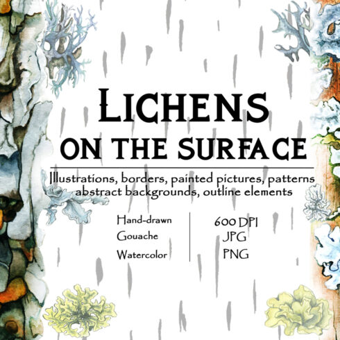 Watercolor Illustrations And Seamless Patterns With Lichens On The Surface Cover Image.