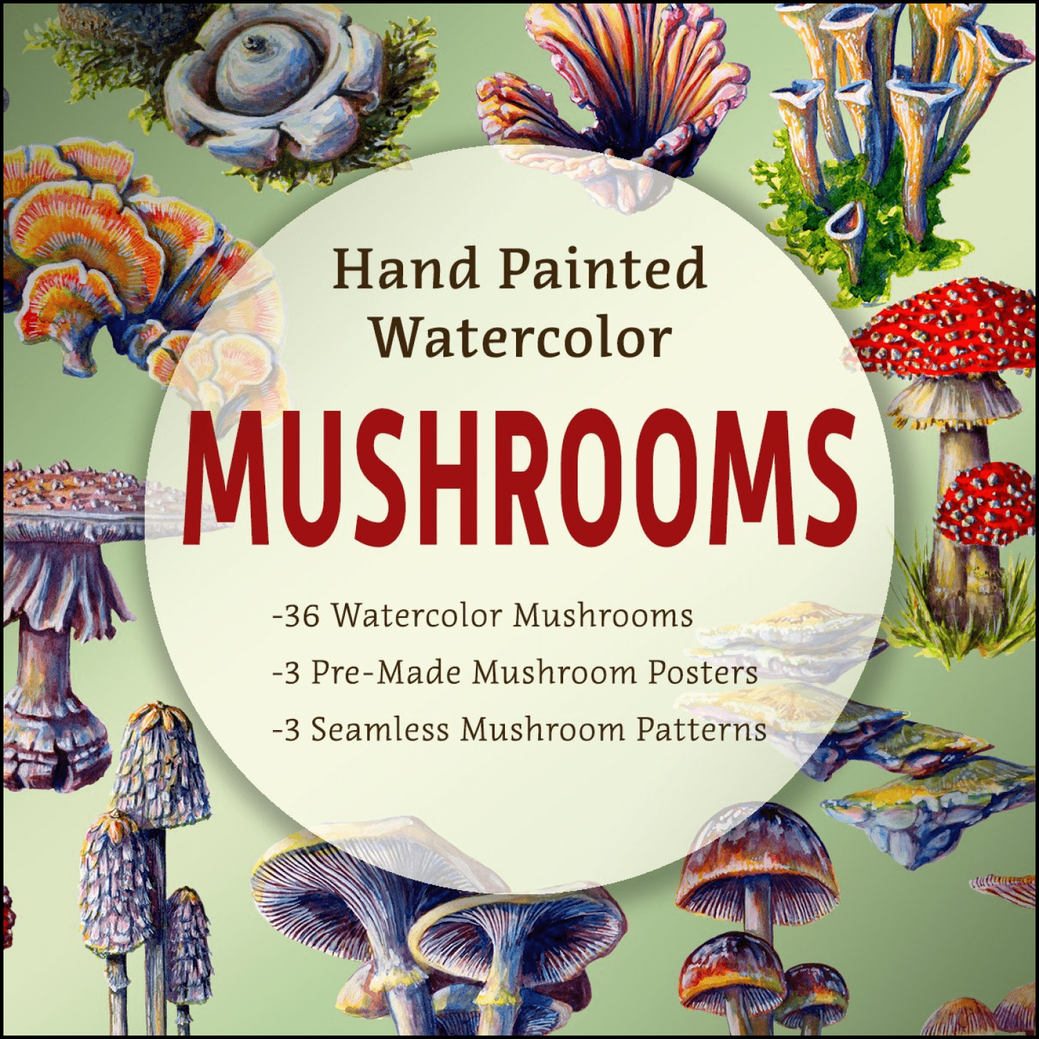 Hand painted mushroom set - main image preview.