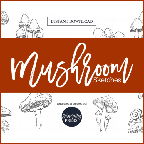 Mushroom sketch clipart collection - main image preview.