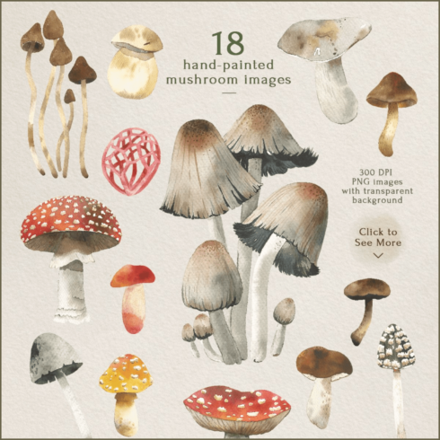 Mushroom watercolor clipart set - main image preview.