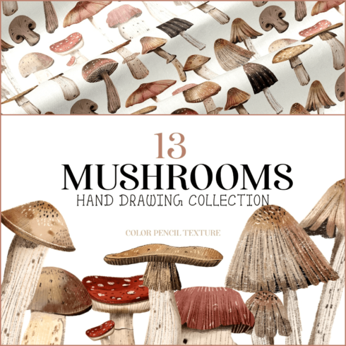 Mushrooms clip art hand drawing - main image preview.
