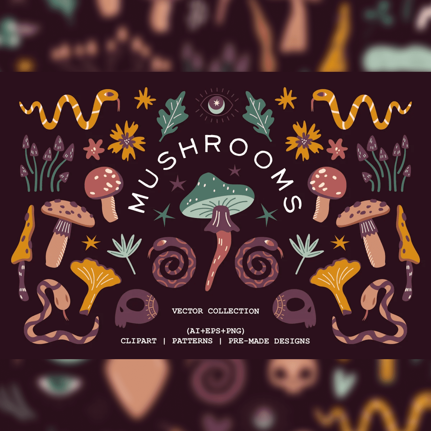 Mushrooms. vector collection - main image preview.