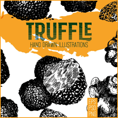 Truffle. mushroom hand drawn set - main image preview.