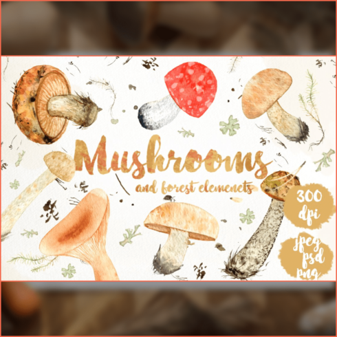 Watercolor forest mushrooms - main image preview.
