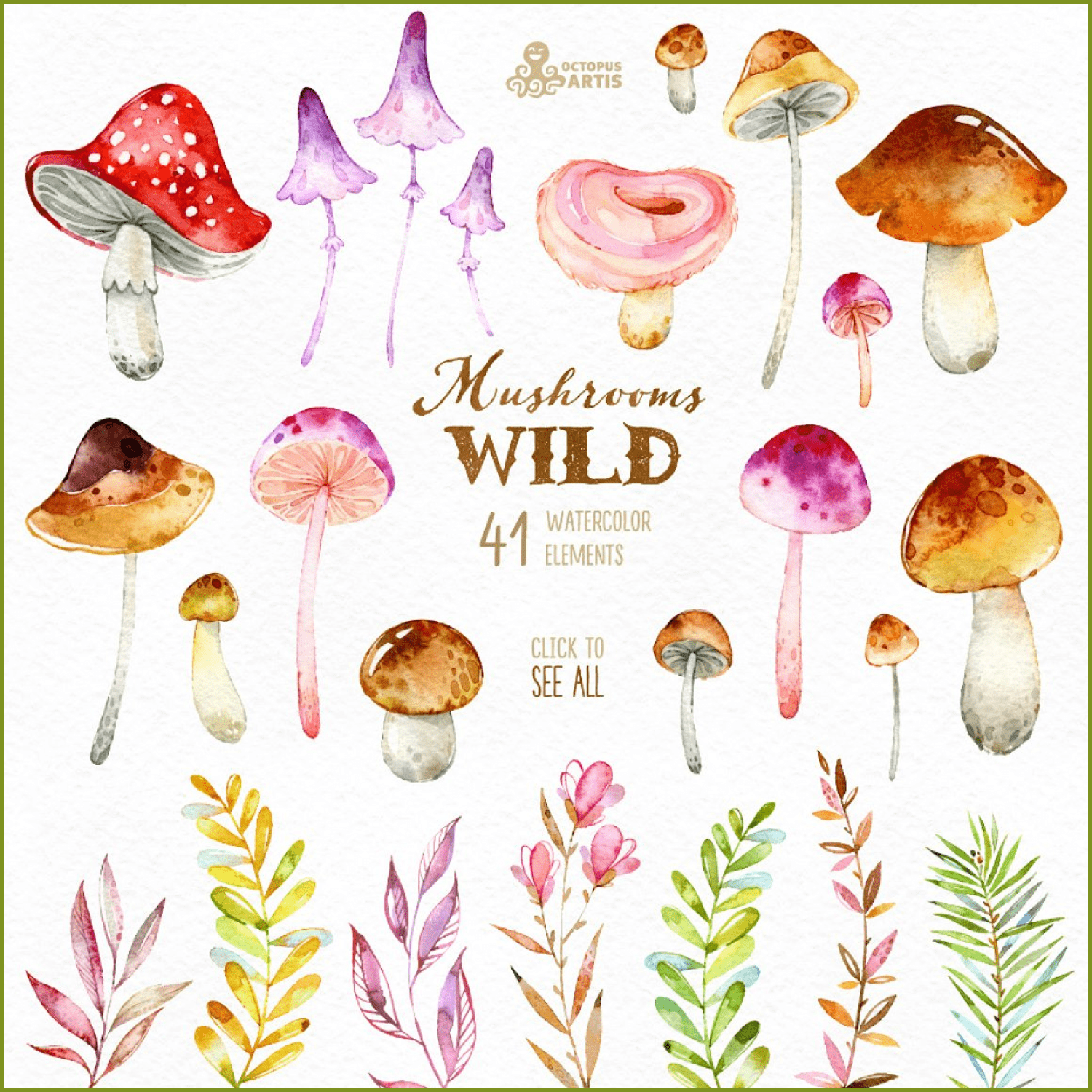 Wild mushrooms. forest collection - main image preview.