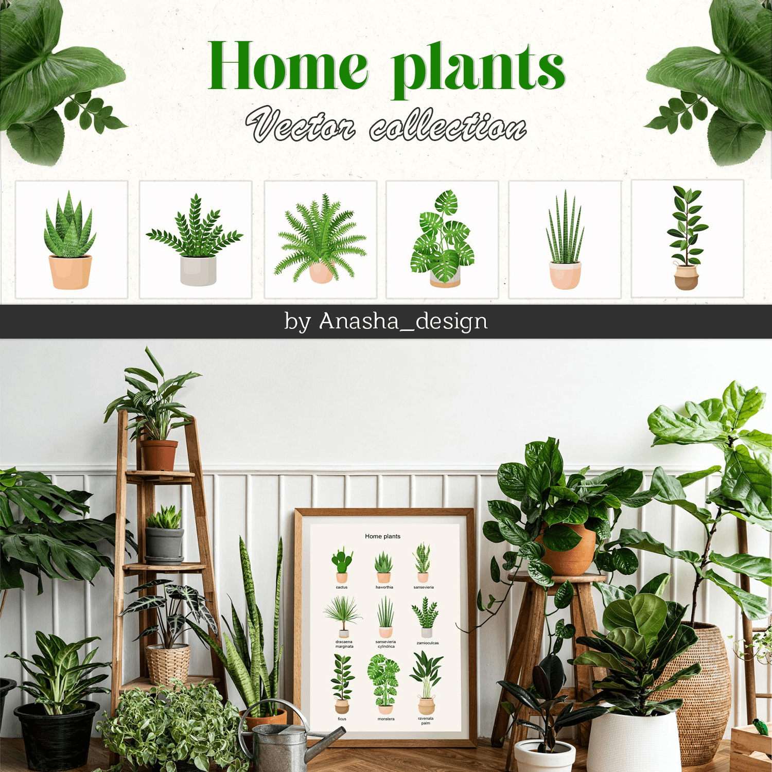 Home plants. Vector collection cover.